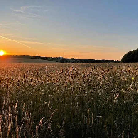 Cozy With Forest And Fjord Views