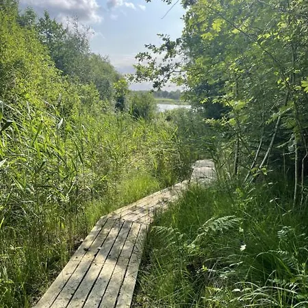 Cozy With Forest And Fjord Views Ferienhaus Roslev